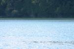 <img150*0:stuff/z/169023/Green%2520Lakes.1/i1277852535_12.jpg>