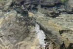 <img150*0:stuff/z/169023/Green%2520Lakes.1/i1277852535_14.jpg>