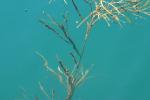 <img150*0:stuff/z/169023/Green%2520Lakes.1/i1277852535_15.jpg>