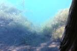 <img150*0:stuff/z/169023/Green%2520Lakes.1/i1277852535_3.jpg>