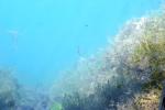 <img150*0:stuff/z/169023/Green%2520Lakes.1/i1277852535_4.jpg>