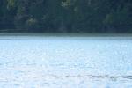 <img150*0:stuff/z/169023/Green%2520Lakes.1/i1277852535_6.jpg>