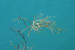 <img150*0:stuff/z/169023/Green%2520Lakes.1/i1277852535_9.jpg>