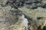 <img150*0:stuff/z/169023/Green%2520Lakes.1/i1277852536_20.jpg>