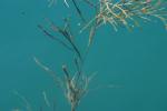 <img150*0:stuff/z/169023/Green%2520Lakes.1/i1277852536_21.jpg>
