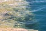 <img150*0:stuff/z/169023/Green%2520Lakes.1/i1277852536_23.jpg>