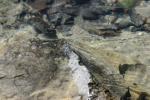 <img150*0:stuff/z/169023/Green%2520Lakes.1/i1277852536_26.jpg>