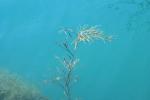<img150*0:stuff/z/169023/Green%2520Lakes.1/i1277852536_27.jpg>