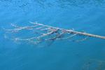 <img150*0:stuff/z/169023/Green%2520Lakes.1/i1277852536_28.jpg>