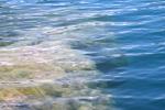 <img150*0:stuff/z/169023/Green%2520Lakes.1/i1277852536_29.jpg>