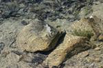 <img150*0:stuff/z/169023/Green%2520Lakes.1/i1277852536_32.jpg>
