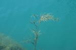 <img150*0:stuff/z/169023/Green%2520Lakes.1/i1277852536_33.jpg>