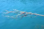 <img150*0:stuff/z/169023/Green%2520Lakes.1/i1277852536_34.jpg>