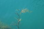 <img150*0:stuff/z/169023/Green%2520Lakes.1/i1277852536_39.jpg>