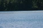<img150*0:stuff/z/169023/Green%2520Lakes.1/i1277852536_41.jpg>