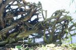 <img150*0:stuff/z/169023/Green%2520Lakes.2/i1277853238_11.jpg>