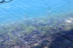 <img150*0:stuff/z/169023/Green%2520Lakes.2/i1277853238_12.jpg>