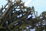 <img150*0:stuff/z/169023/Green%2520Lakes.2/i1277853238_5.jpg>