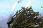 <img150*0:stuff/z/169023/Green%2520Lakes.2/i1277853238_6.jpg>