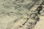 <img150*0:stuff/z/169023/Green%2520Lakes.2/i1277853238_9.jpg>