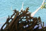 <img150*0:stuff/z/169023/Green%2520Lakes.2/i1277853239_17.jpg>