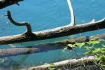 <img150*0:stuff/z/169023/Green%2520Lakes.2/i1277853239_19.jpg>