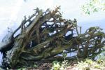 <img150*0:stuff/z/169023/Green%2520Lakes.2/i1277853239_23.jpg>