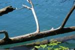 <img150*0:stuff/z/169023/Green%2520Lakes.2/i1277853240_25.jpg>