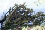 <img150*0:stuff/z/169023/Green%2520Lakes.2/i1277853240_29.jpg>