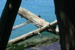 <img150*0:stuff/z/169023/Green%2520Lakes.2/i1277853240_31.jpg>