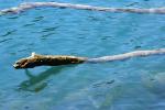 <img150*0:stuff/z/169023/Green%2520Lakes.2/i1277853240_33.jpg>