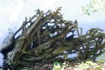 <img150*0:stuff/z/169023/Green%2520Lakes.2/i1277853241_35.jpg>