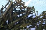 <img150*0:stuff/z/169023/Green%2520Lakes.2/i1277853241_40.jpg>