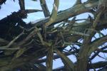 <img150*0:stuff/z/169023/Green%2520Lakes.2/i1277853241_41.jpg>
