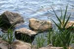 <img:stuff/z/169023/Green%2520Lakes.3/i1277853922_4.jpg?y=100>