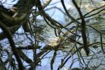 <img150*0:stuff/z/169023/Green%2520Lakes.3/i1277853922_5.jpg>