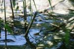 <img150*0:stuff/z/169023/Green%2520Lakes.3/i1277853923_12.jpg>