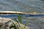 <img150*0:stuff/z/169023/Green%2520Lakes.3/i1277853923_15.jpg>