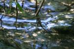 <img150*0:stuff/z/169023/Green%2520Lakes.3/i1277853923_6.jpg>