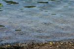 <img150*0:stuff/z/169023/Green%2520Lakes.3/i1277853923_7.jpg>