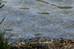 <img150*0:stuff/z/169023/Green%2520Lakes.3/i1277853924_18.jpg>