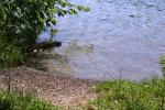 <img150*0:stuff/z/169023/Green%2520Lakes.3/i1277853924_21.jpg>
