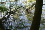 <img150*0:stuff/z/169023/Green%2520Lakes.3/i1277853924_23.jpg>