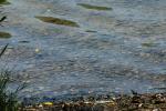 <img150*0:stuff/z/169023/Green%2520Lakes.3/i1277853924_24.jpg>