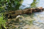 <img150*0:stuff/z/169023/Green%2520Lakes.3/i1277853925_27.jpg>