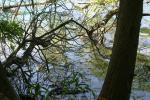 <img150*0:stuff/z/169023/Green%2520Lakes.3/i1277853925_29.jpg>