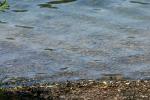 <img150*0:stuff/z/169023/Green%2520Lakes.3/i1277853925_30.jpg>