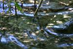 <img150*0:stuff/z/169023/Green%2520Lakes.3/i1277853925_35.jpg>