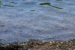 <img150*0:stuff/z/169023/Green%2520Lakes.3/i1277853925_36.jpg>