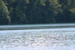 <img150*0:stuff/z/169023/Green%2520Lakes.3/i1277853926_39.jpg>